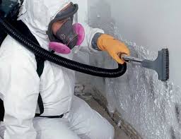 Best Real Estate Mold Inspection  in Preston, IA